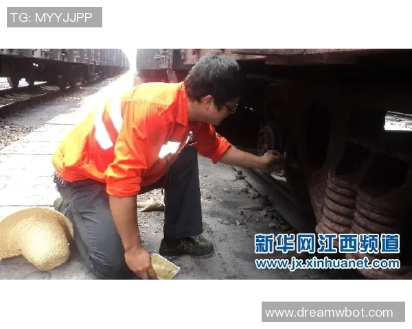 热刺纽卡关注小斯坦科维奇国米持续跟踪球员动态